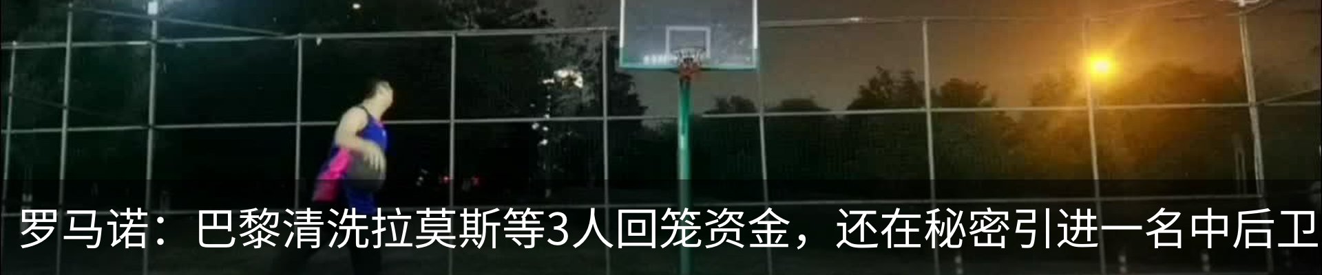 新闻动态